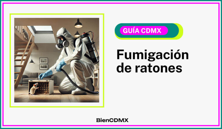 fumigación de ratones en CDMX