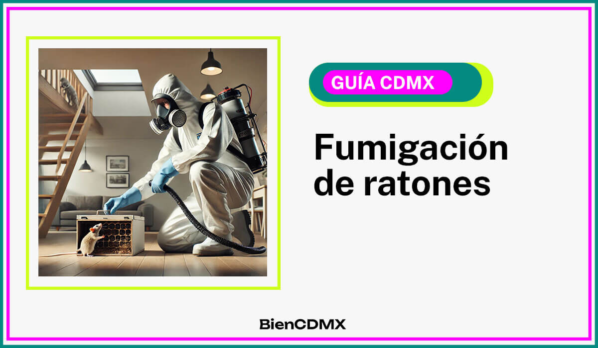 fumigación de ratones en CDMX